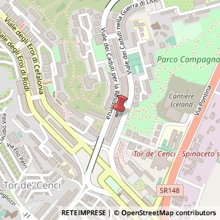 Mappa Viale dei Caduti per la Resistenza, 699, 00128 Aprilia, Latina (Lazio)