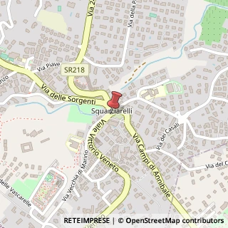 Mappa Via delle Sorgenti di Squarciarelli, 101, 00046 Grottaferrata, Roma (Lazio)