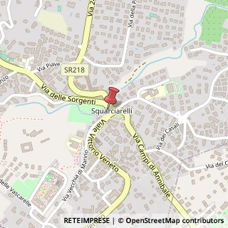 Mappa Via delle Sorgenti di Squarciarelli, 77, 00046 Grottaferrata, Roma (Lazio)