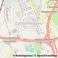 Karte Cavallino