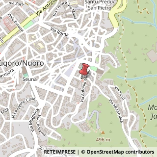Mappa Via Matteotti,  14, 08100 Nuoro, Nuoro (Sardegna)