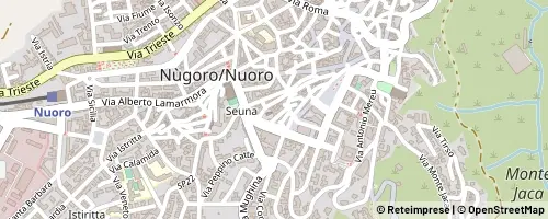 Mappa Nuoro