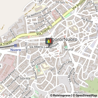 Autoveicoli Elettrici,08100Nuoro
