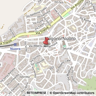 Mappa Via Alberto Lamarmora, 61, 08100 Nuoro, Nuoro (Sardegna)