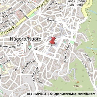Mappa Piazza Vittorio Emanuele, 27, 08100 Nuoro, Nuoro (Sardegna)