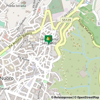 Consulenza Informatica,08100Nuoro