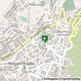 Via Poerio, 32,08100Nuoro