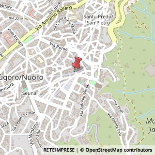 Mappa Piazza Giuseppe Mazzini, 2, 08100 Nuoro, Nuoro (Sardegna)