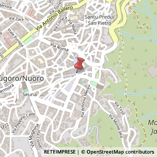 Mappa Corso Giuseppe Garibaldi, 53, 08100 Nuoro, Nuoro (Sardegna)
