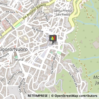 Informazioni Commerciali Nuoro,08100Nuoro