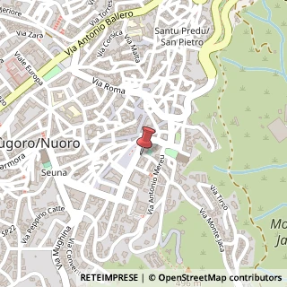 Mappa Piazza Vittorio Emanuele, 5, 08100 Nuoro, Nuoro (Sardegna)