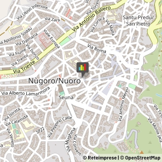 Autoveicoli Elettrici,08100Nuoro