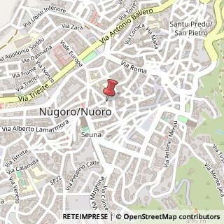 Mappa Piazza Francesco Crispi, 4, 08100 Nuoro, Nuoro (Sardegna)