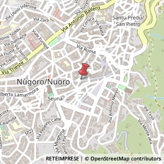 Mappa Corso garibaldi 28, 08100 Nuoro, Nuoro (Sardegna)