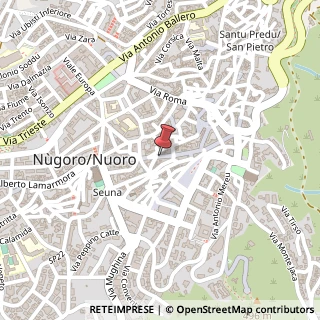 Mappa Corso Giuseppe Garibaldi, 121, 08100 Nuoro, Nuoro (Sardegna)