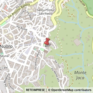 Mappa Piazza Santa Maria della Neve, 8, 08100 Nuoro, Nuoro (Sardegna)