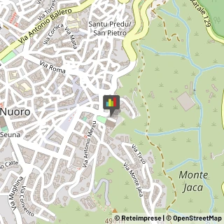 Emittenti Radiotelevisive Nuoro,08100Nuoro