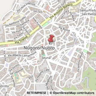Mappa Via Nicolò Ferracciu, 59, 08100, 08100 Nuoro, Nuoro (Sardegna)