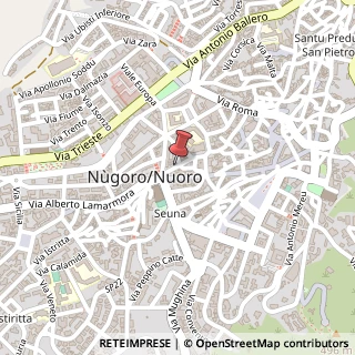Mappa Via Nicolò Ferracciu, 112, 08100 Nuoro, Nuoro (Sardegna)