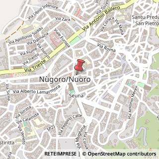 Mappa Via Nicolò Ferracciu, 112, 08100 Nuoro, Nuoro (Sardegna)
