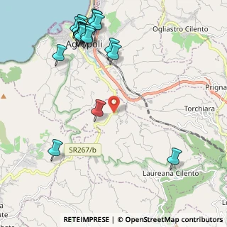 Mappa SS 267, 84050 Laureana Cilento SA (2.9935)