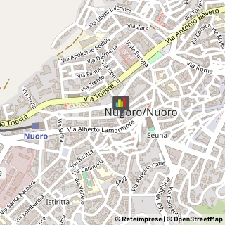 Consulenza Commerciale,08100Nuoro