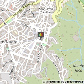 Bestiame - Allevamento e Commercio,08100Nuoro