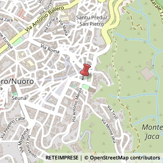 Mappa Piazza Santa Maria della Neve, 3, 08100 Nuoro, Nuoro (Sardegna)