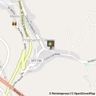 Fisiokinesiterapia - Medici Specialisti Prignano Cilento,84060Salerno