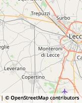 Trasporti Macchinari Novoli,73051Lecce