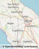 Trasporti Macchinari Lecce,73100Lecce