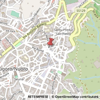 Mappa Via Salvatore Farina, 2, 08100 Nuoro, Nuoro (Sardegna)