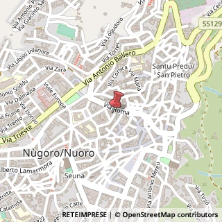 Mappa Via Ignazio Salaris, 8, 08100 Nuoro, Nuoro (Sardegna)
