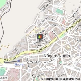 Amministrazioni Immobiliari,08100Nuoro