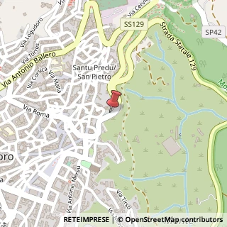 Mappa Via Aspromonte, 55, 08100 Nuoro, Nuoro (Sardegna)