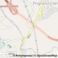 Map Prignano Cilento