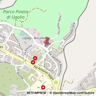 Mappa Via Salvatore Mannironi, 48, 08100 Nuoro, Nuoro (Sardegna)
