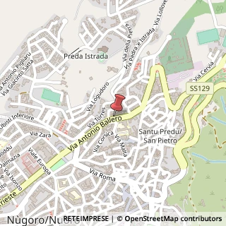 Mappa Via Antonio Ballero, 11, 08100 Nuoro, Nuoro (Sardegna)