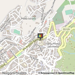 Medie - Scuole Private,08100Nuoro