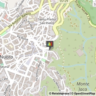 Autoveicoli Elettrici,08100Nuoro