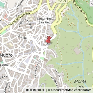 Mappa Via aspromonte 33, 08100 Nuoro, Nuoro (Sardegna)