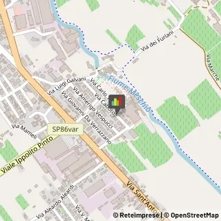 Imbalsamatori Vittorio Veneto,31029Treviso