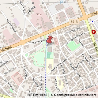 Mappa Via Ungaresca, 42, 33170 Pordenone, Pordenone (Friuli-Venezia Giulia)