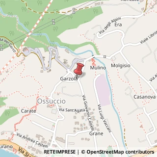 Mappa Via Giovanni Castelli, 30, 22010 Tremezzina, Como (Lombardia)