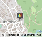 Consulenza Commerciale Introbio,23815Lecco