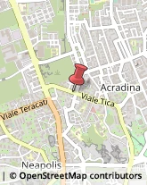 Viale Tica, 197,96100Siracusa