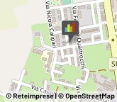 Agenti e Rappresentanti di Commercio,93012Caltanissetta