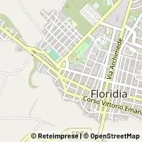 Kart Floridia