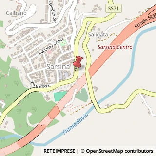 Mappa Viale Giacomo Matteotti,  15, 47027 Sarsina, Forlì-Cesena (Emilia Romagna)