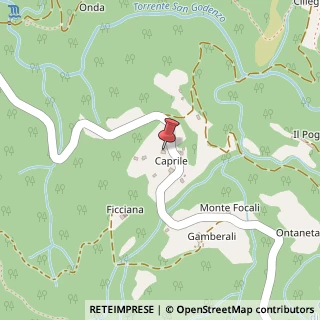 Mappa Località Caprile, 89/A, 50060 Borgo San Lorenzo, Firenze (Toscana)